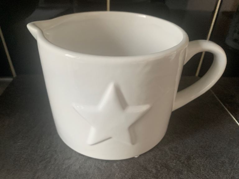 Plant Pot/Decorative Jug