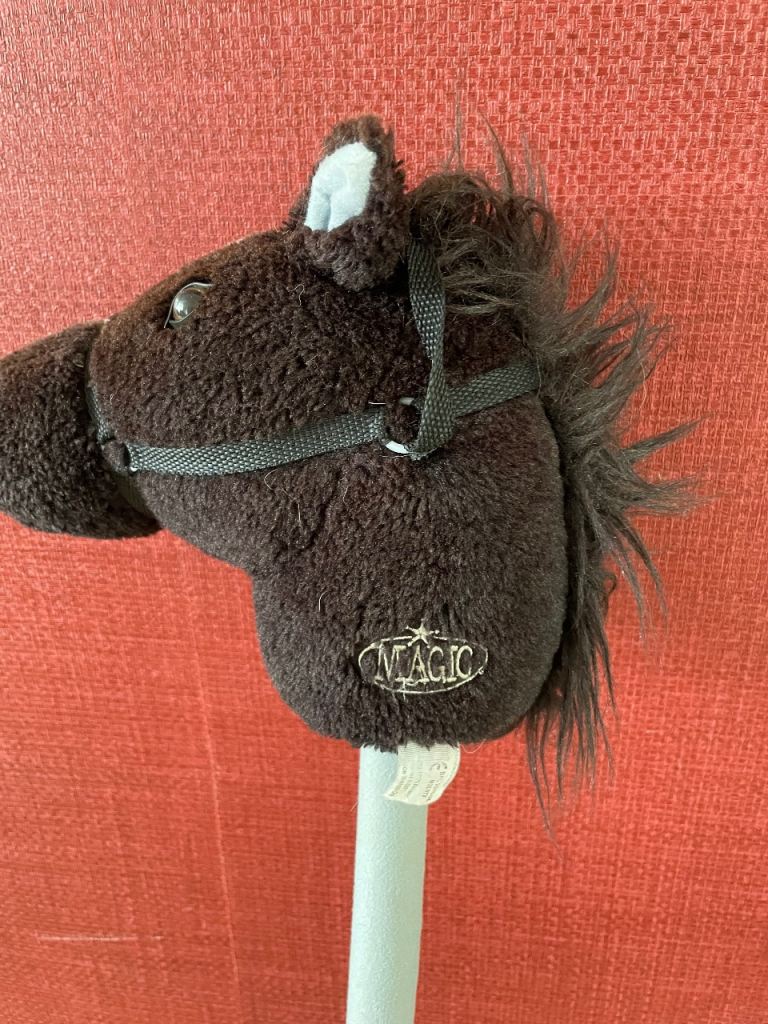 Magic Hobby Horse - Brown Stick Pony Toy