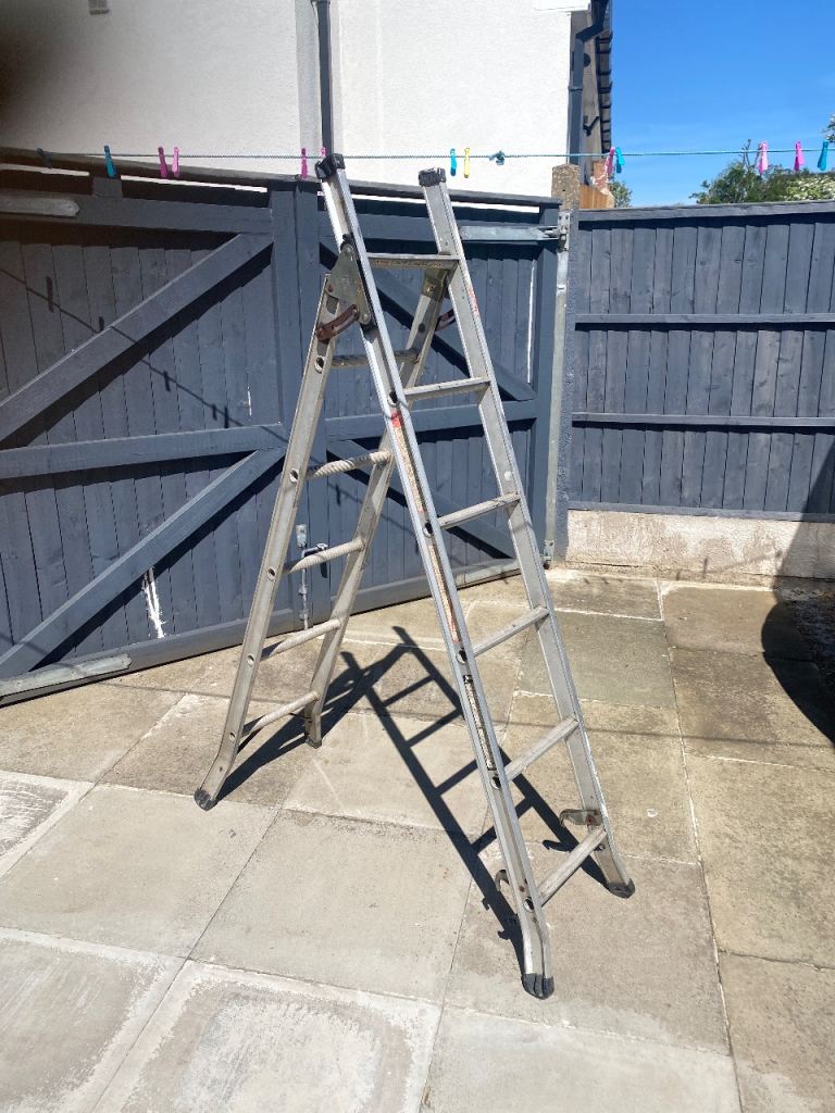 Multi functional ladder 