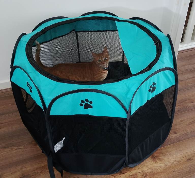 Portable Pet Play Pen