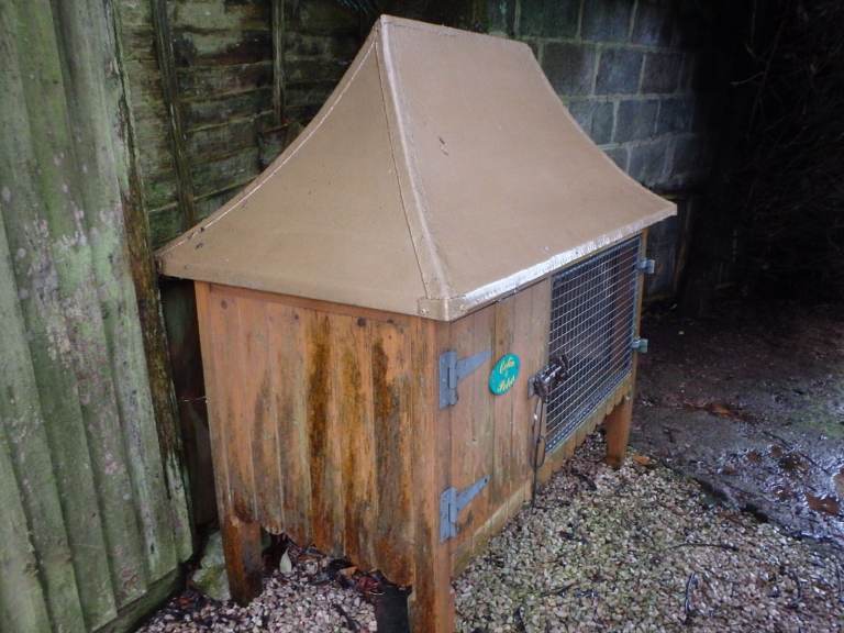 Rabbit/Guinea Pig Hutch