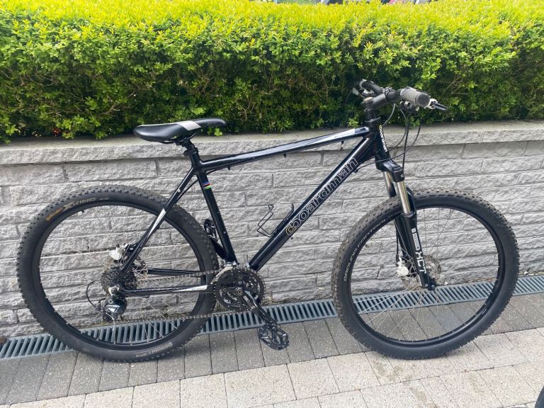 Boardman sport mountain bike large frame