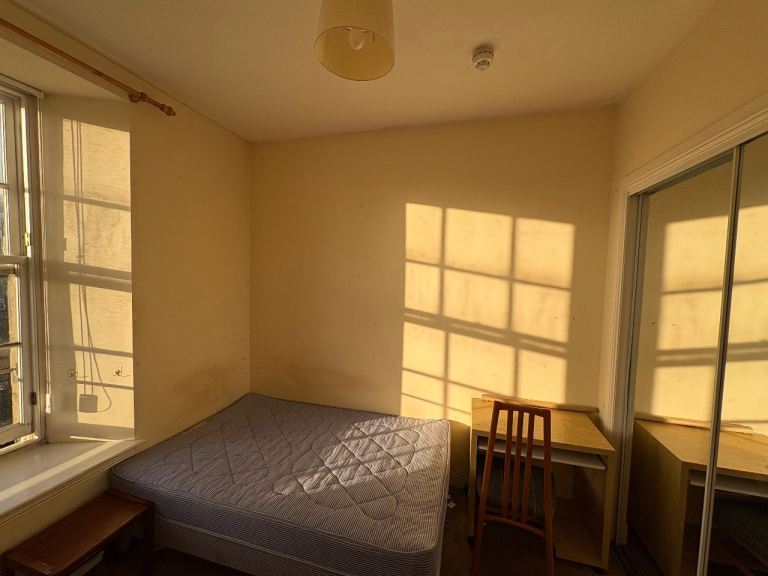 Looking for a professional flatmate 