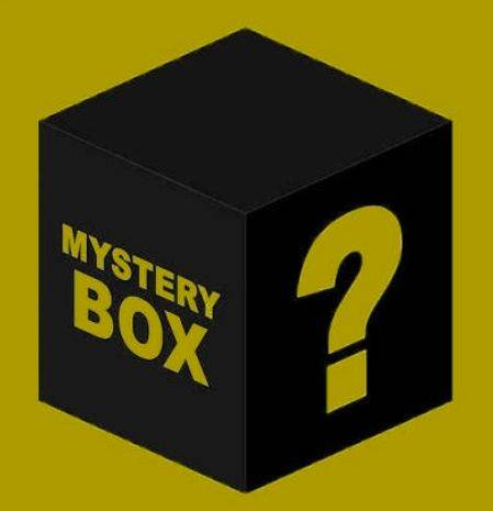 20x MEN’S VINTAGE BRANDED HOODIES & JACKETS BUNDLE