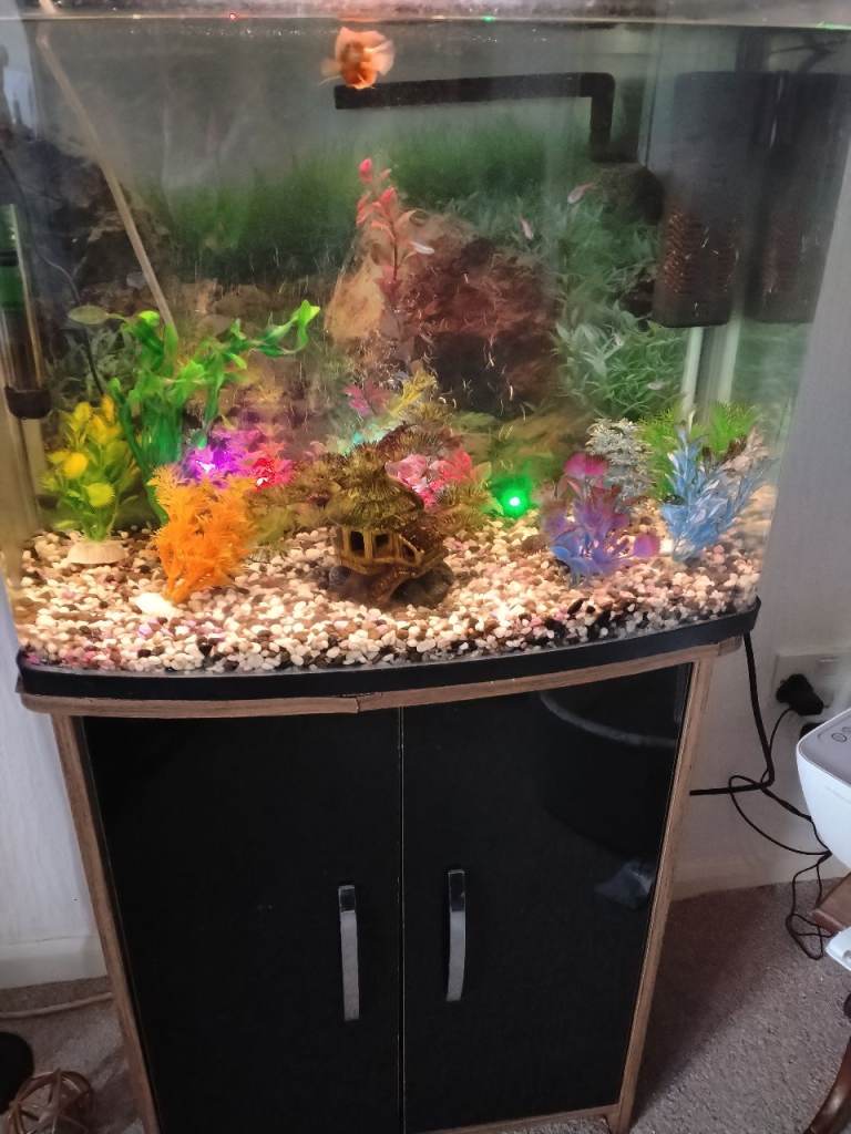 Fish tank 