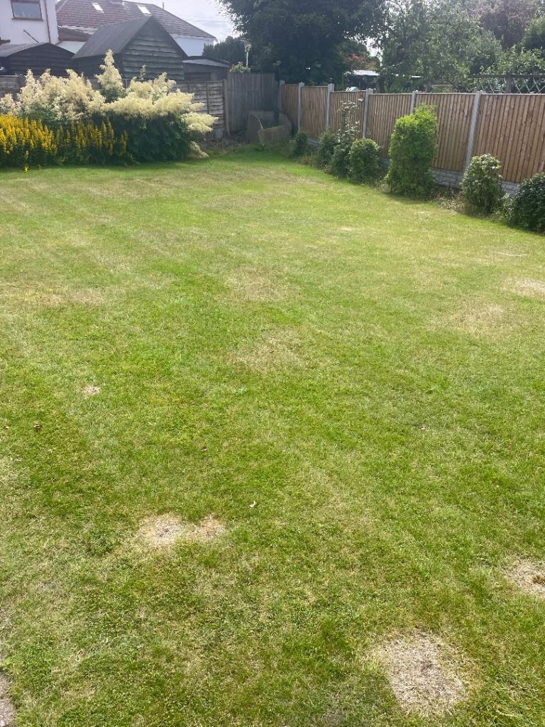 Outdoor garden maintenance 