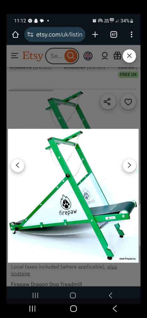 Firepaw dog treadmill