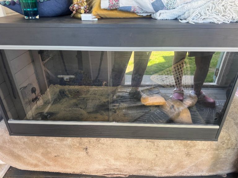 Large vivarium 