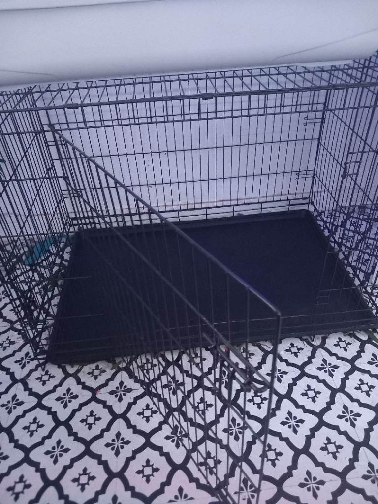 Dog crate 