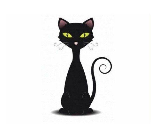 February onwards - House-sitting, pet and cat sitter, available for FREE