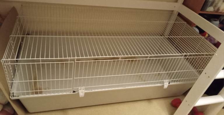 Extra large indoor guinea pig cage