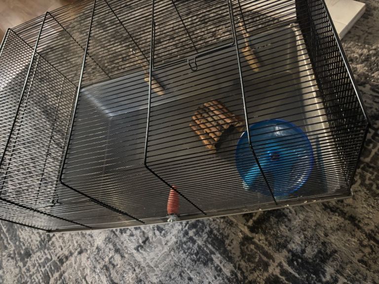 Hamster cage and ball 