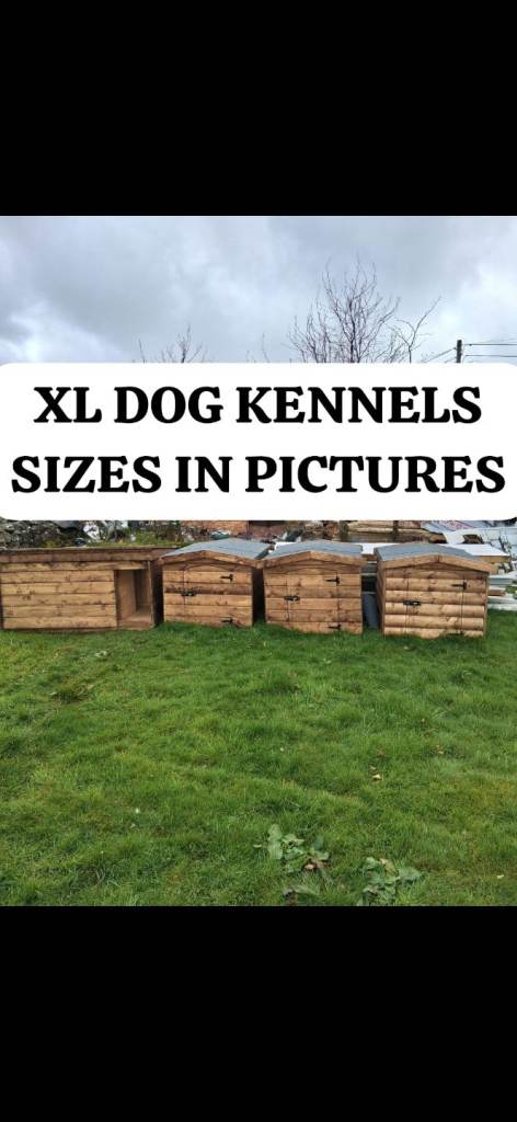 Dog kennels 