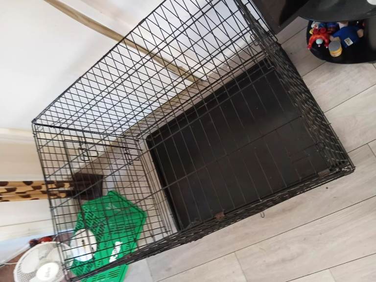 Dog crate 