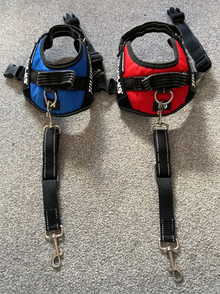  2 x Julius K9 harnesses 