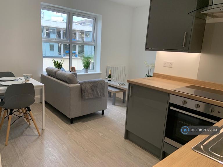 1 bedroom flat in Marlborough Road, Sheffield, S10 (1 bed) (#3022319)