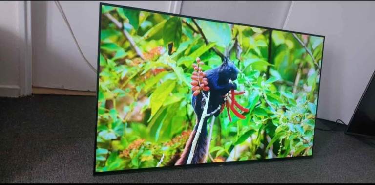 image for 55" JVC 4K ULTRA SMART FIRE TV 