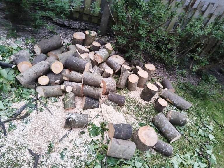 Logs for burning