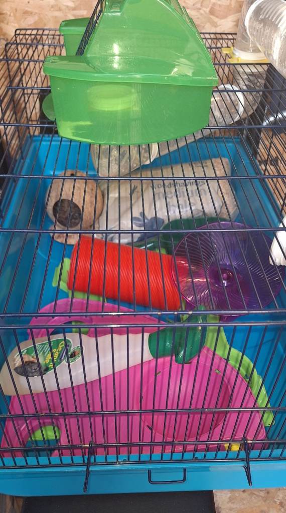 Savic hamster cage with accessories 
