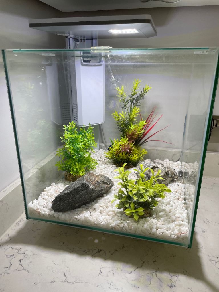 QubiQ 30 Pro glass fish tank