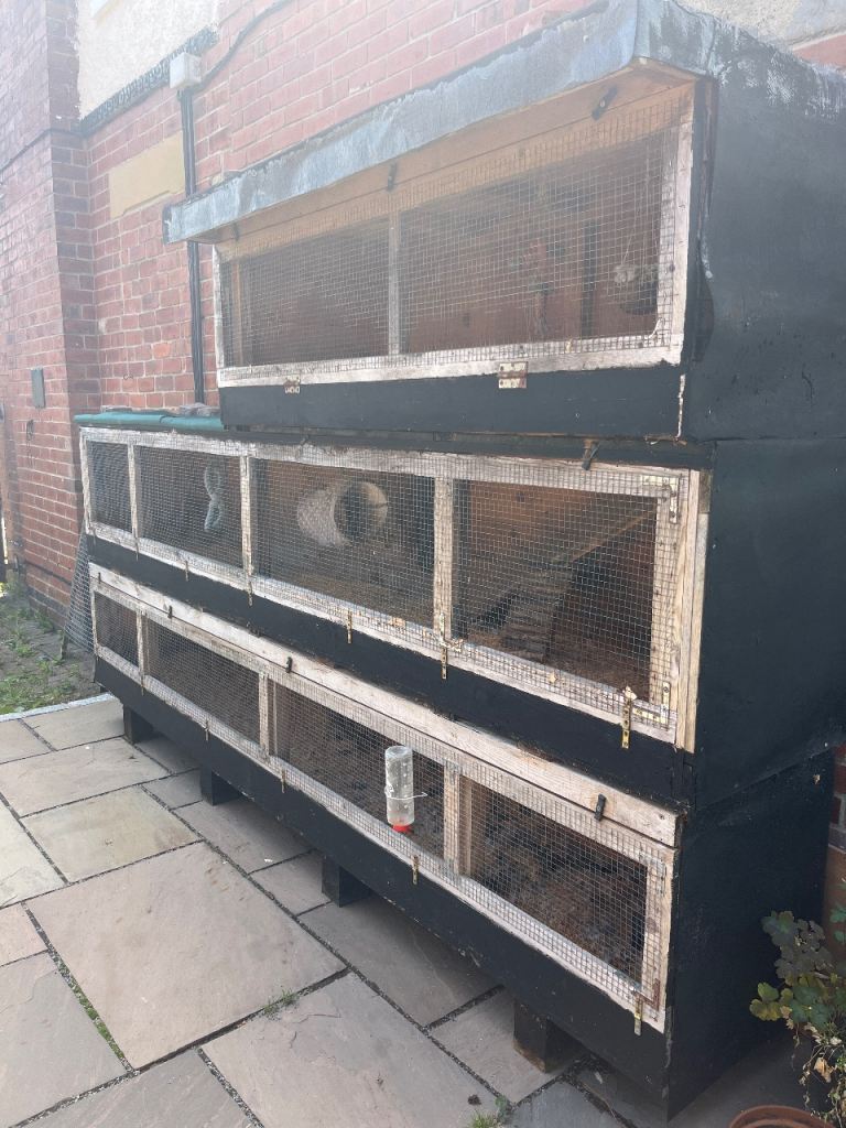 3 tier LARGE ferret hutch.