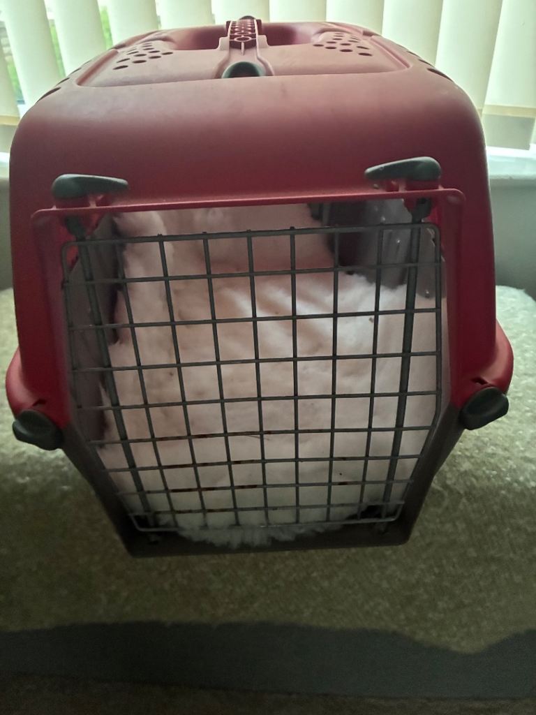 Pet carrier 