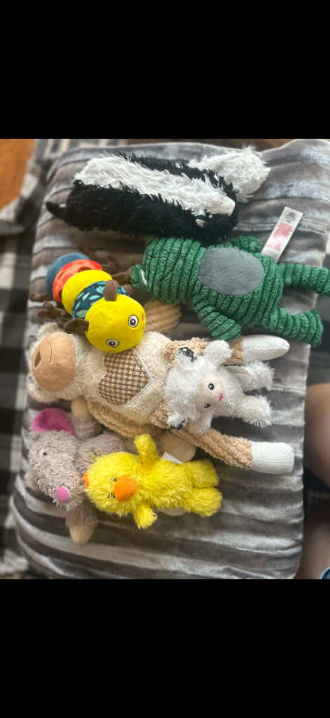 Dog toys 