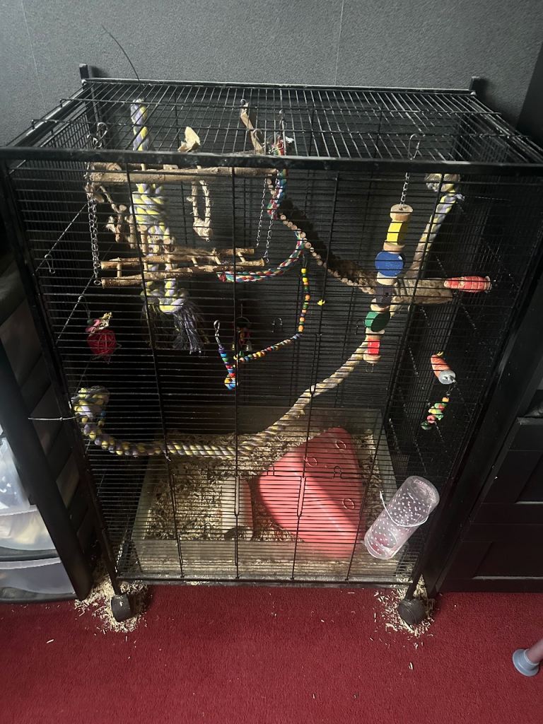 Rodent cage 