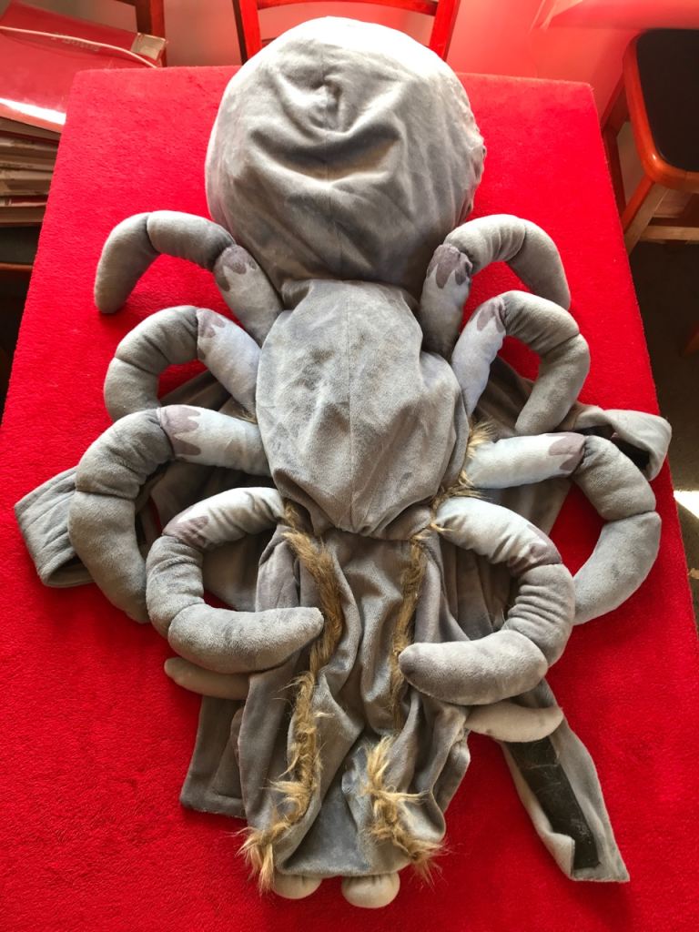 Grey Octopus Dog Costume – Good Condition
