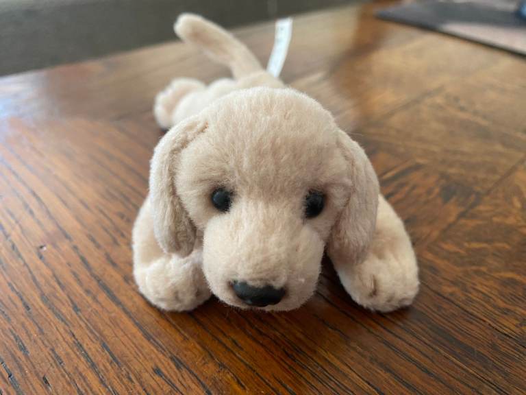 Cute Beige Puppy Dog Soft Toy – Good Condition