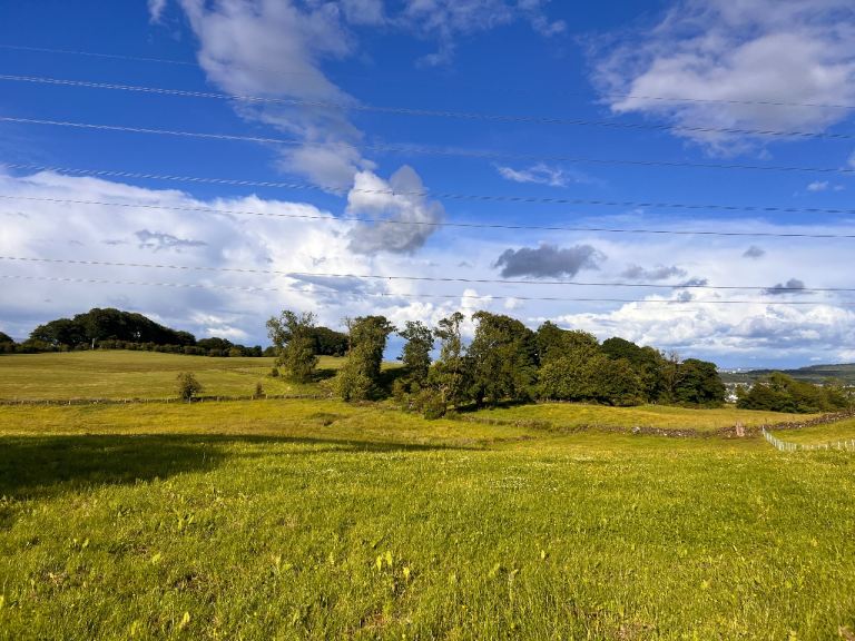 Horse DIY Grazing - Kilbarchan