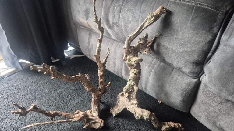 2 Large Manzanita Driftwood Pieces for Aquarium or Decor