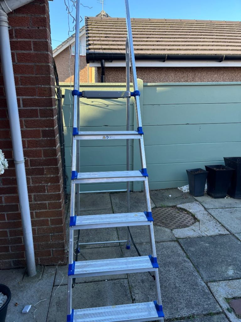 Werner ladders