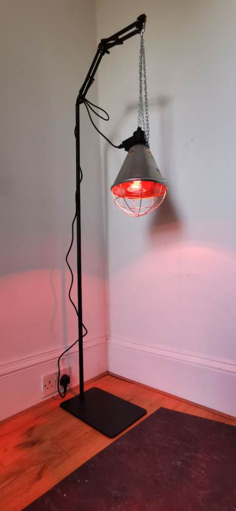 Pet litter heat lamp with stand