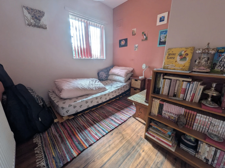 Looking for Lodger (1 single room still available)