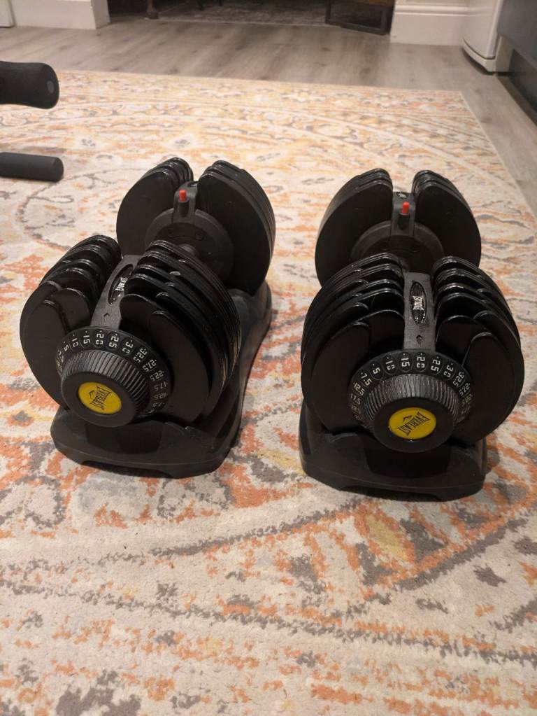 Everlast x2 32.5 KG weights