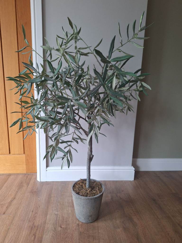 Faux Olive Tree in Rustic Pot 