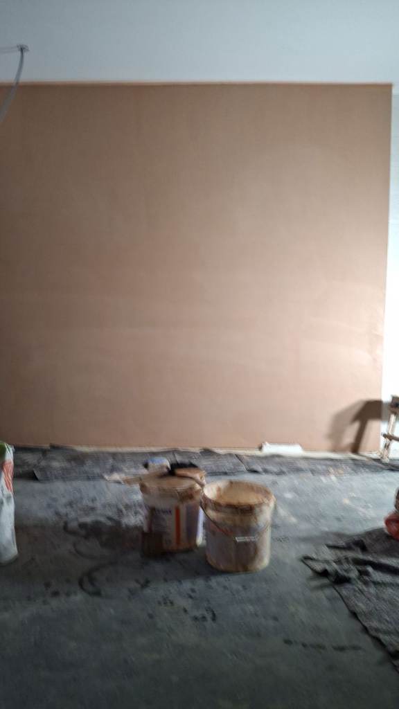 image for Professional plasterer 
