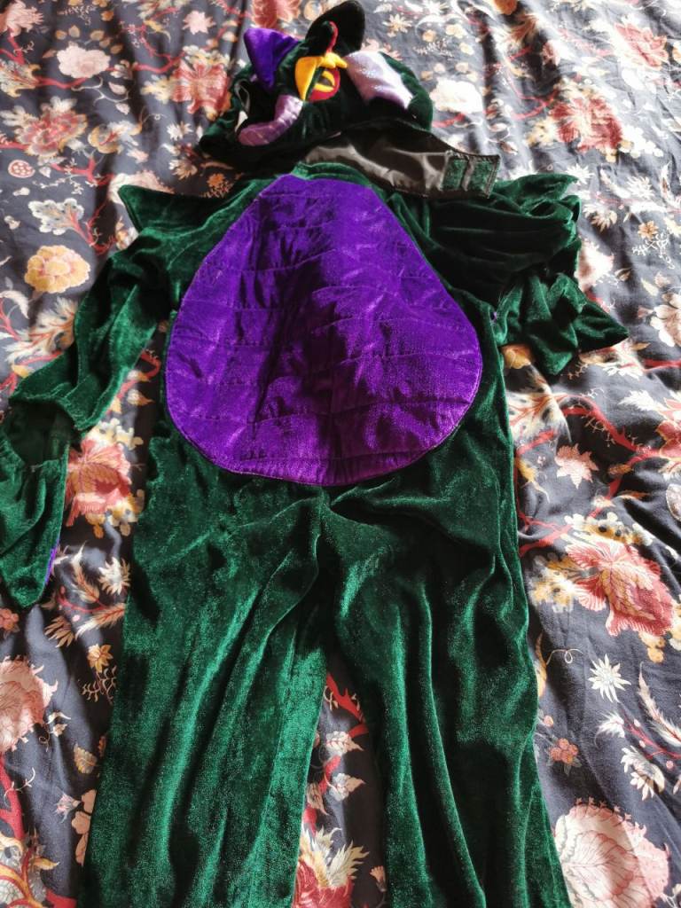 Kids Dragon Fancy Dress Costume – Green & Purple