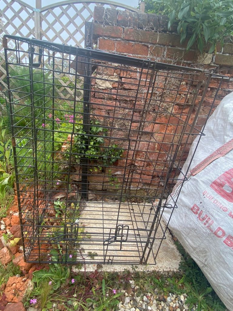 Dog cage