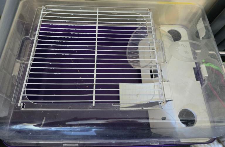 Small rodent cage
