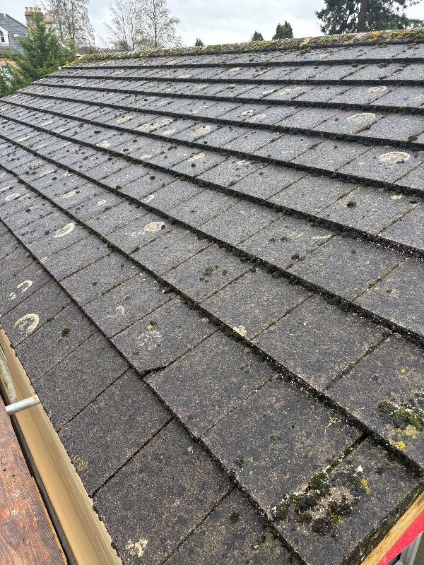 1960s Concrete Tiles