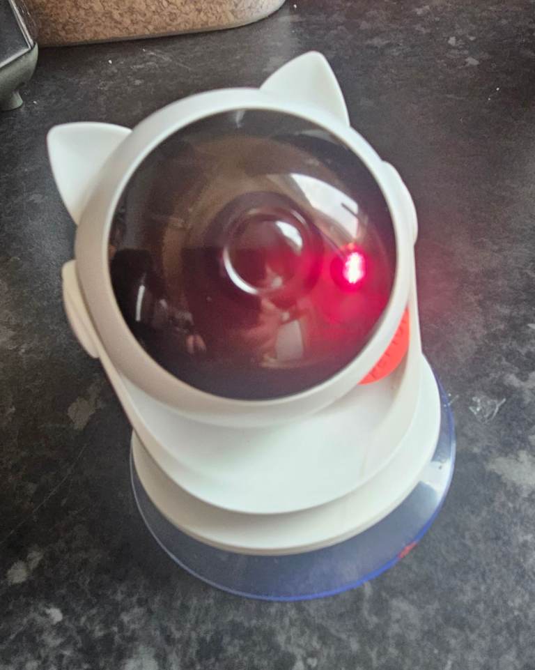 Rechargeable cat/dog lazer chase toy 