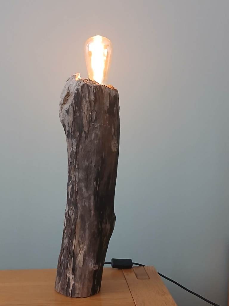 Unique Driftwood Table Lamp with Edison Bulb