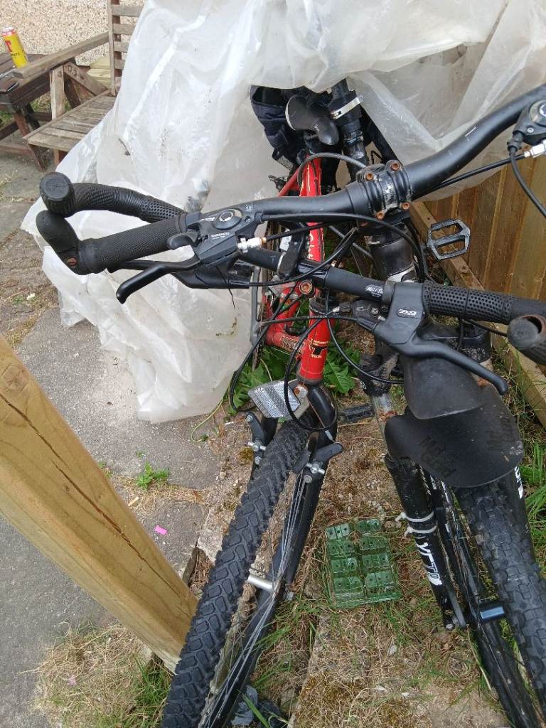 2 Adult mountain bikes