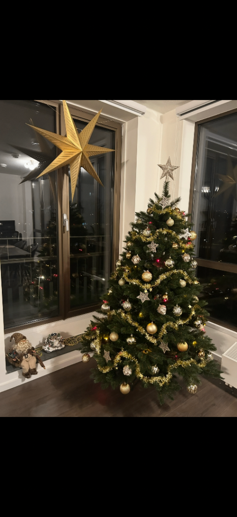 Christmas tree for sale