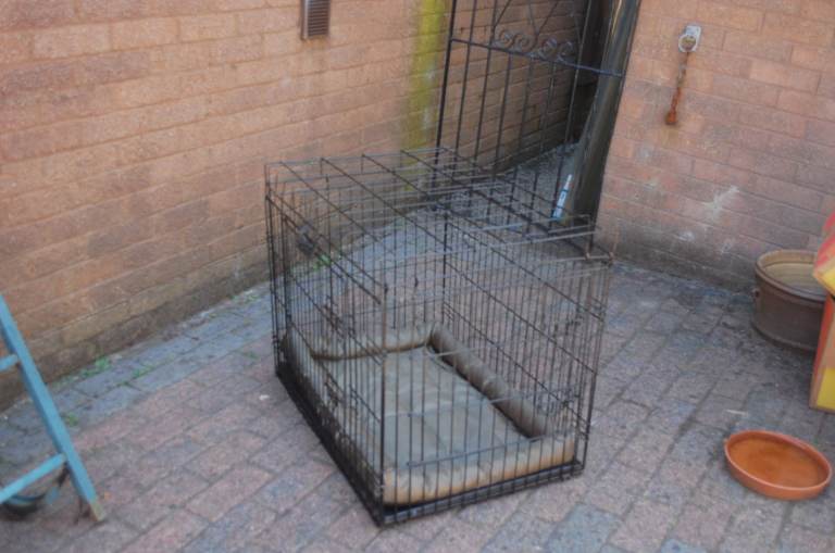 dog crate