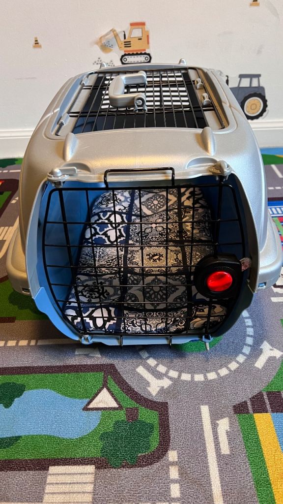 2 Cat carriers (large and medium), cat house, disinfected large litter box and articles
