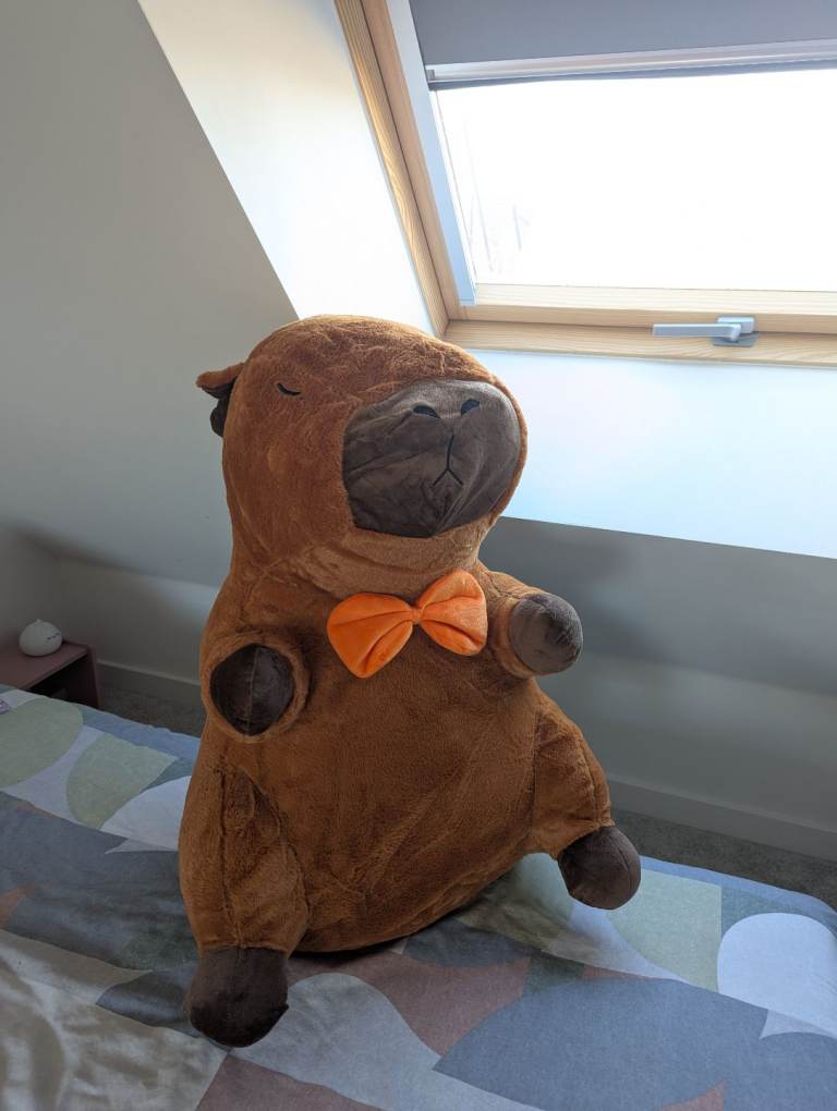Giant Plush toy Capybara NEW £30