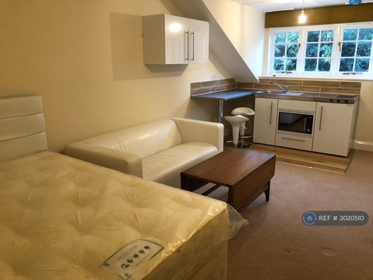 1 bedroom in Hertingfordbury Road, Hertford, SG14 (#3020510)